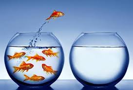 Corretor de imóveis: 5 dicas para desenvolver seu lado pessoal e profissional