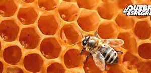 Corretor: Veja como vender imóveis em momentos de crise