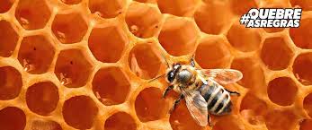 Corretor: Veja como vender imóveis em momentos de crise