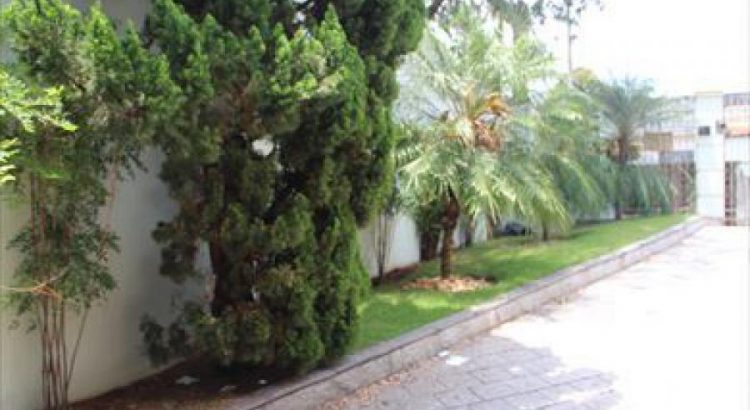 casas em são miguel paulista