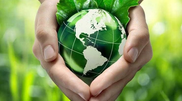 Economia do futuro: próxima década contará com mais negócios sustentáveis